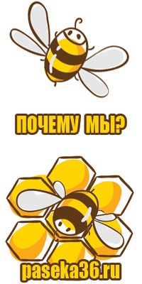 Мёд цветочный жидкий
